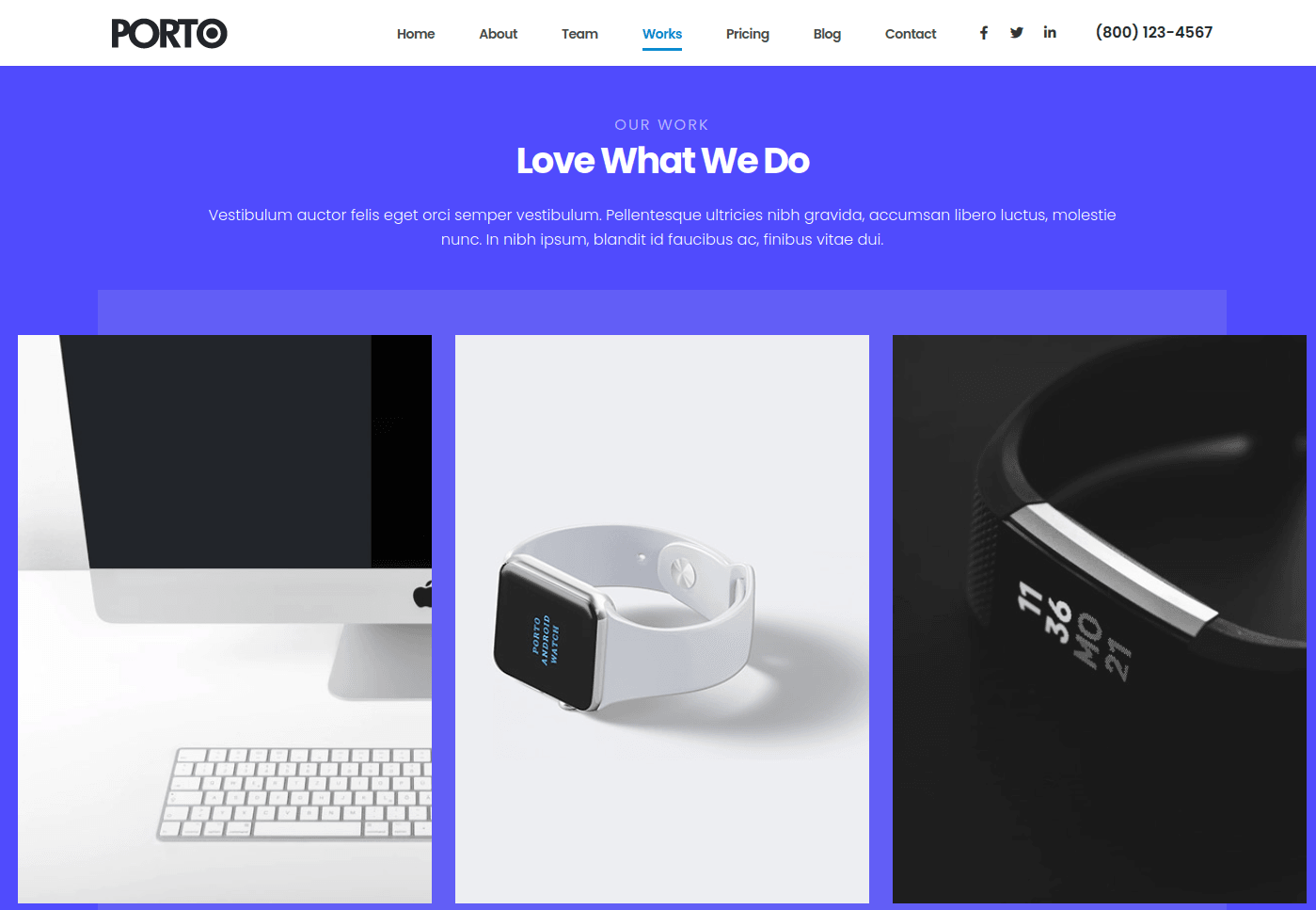 Sales Leads Co. Multipurpose 13