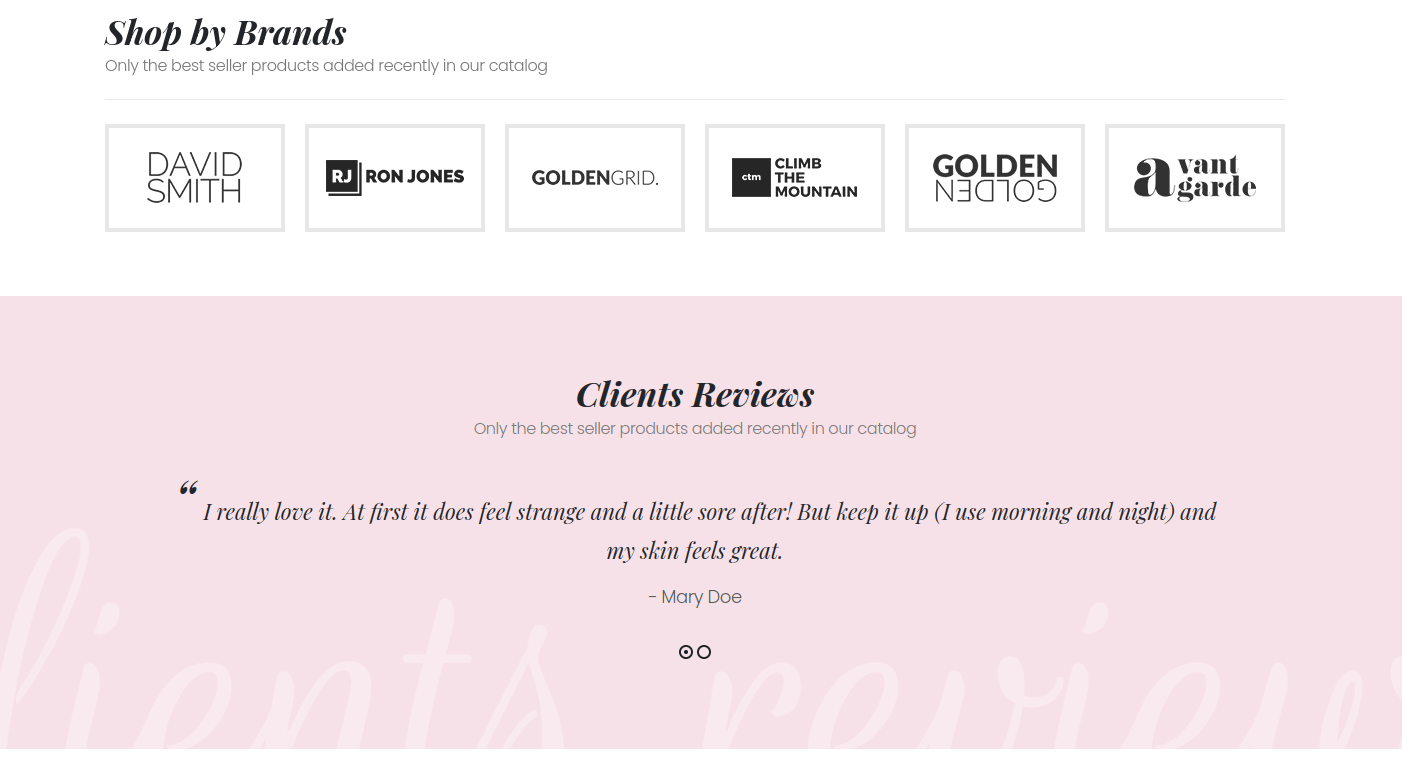 Sales Leads Co. Multipurpose & woocommerce 80