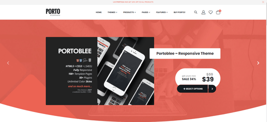 Sales Leads Co. Magento two 24